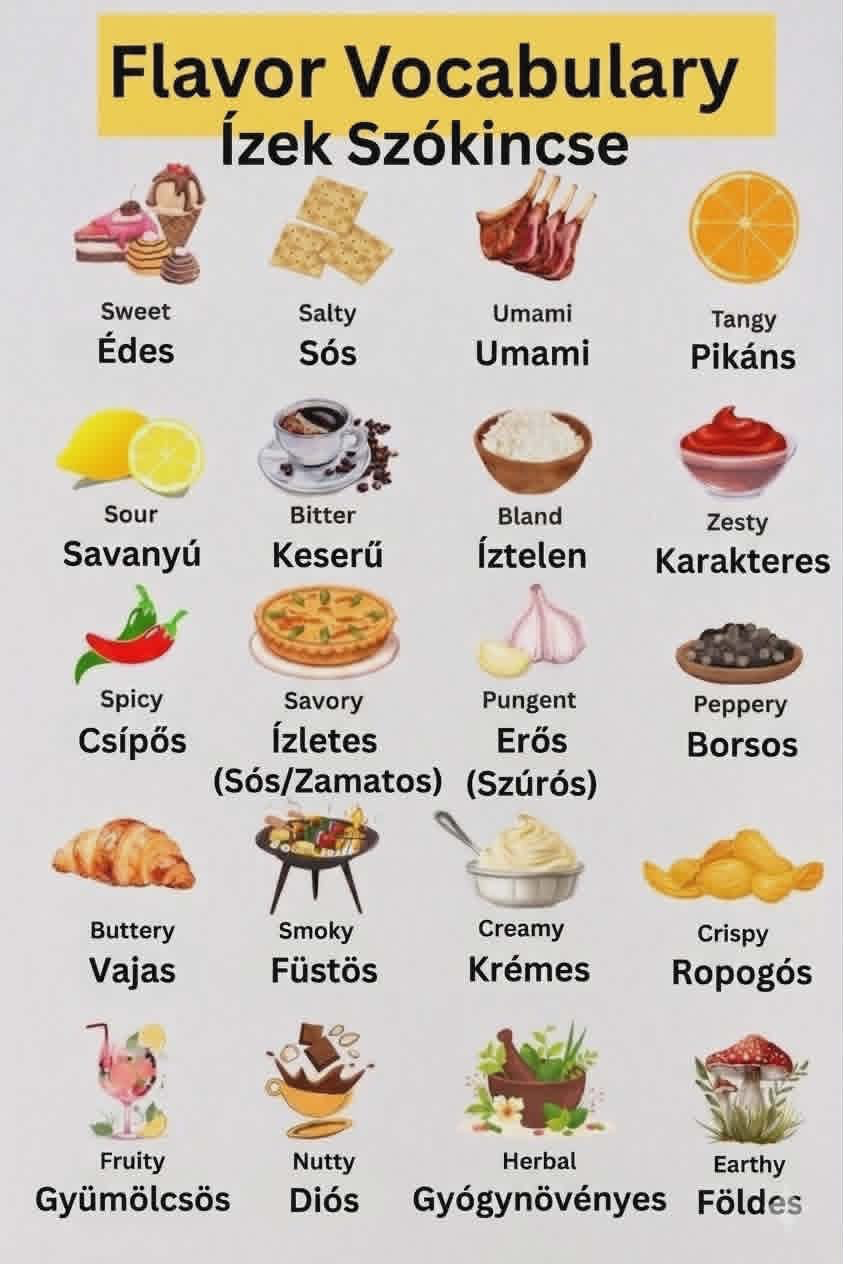 Ízek szókincse – Flavor Vocabulary