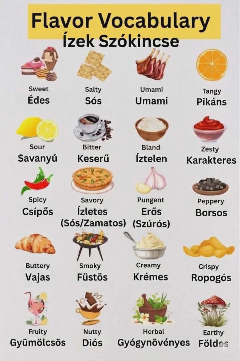 Ízek szókincse – Flavor Vocabulary