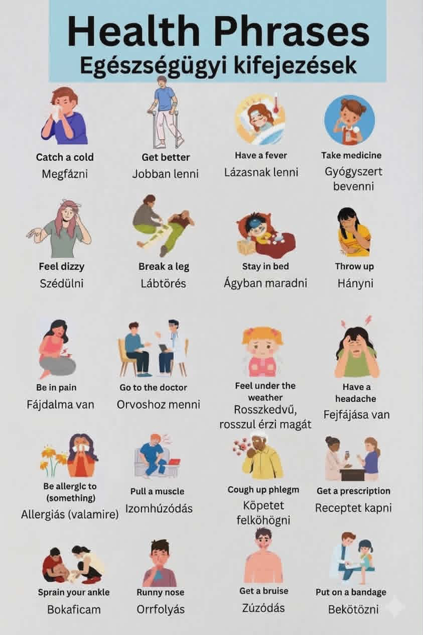 Egészségügyi kifejezések – Health Phrases