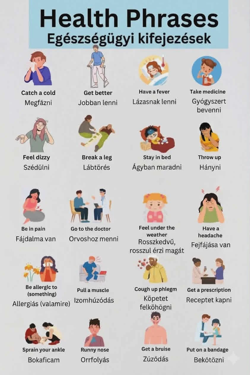 Egészségügyi kifejezések – Health Phrases