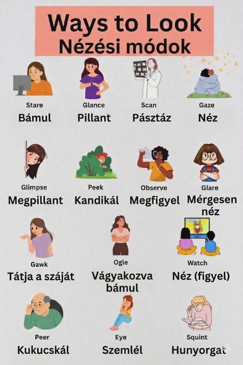 Nézési módok – Ways to Look (stare, glance, gaze)
