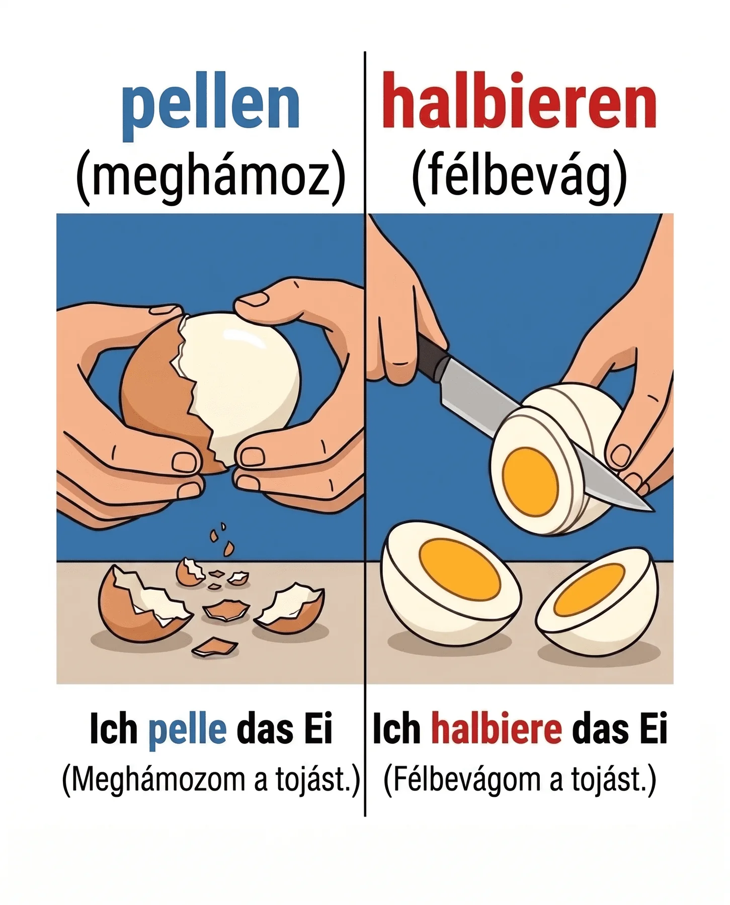 Meghámoz és félbevág: pellen, halbieren