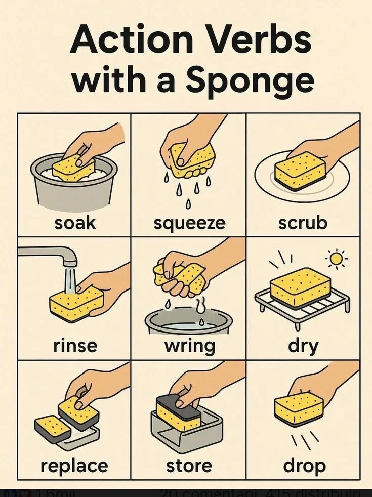 Action Verbs with a Sponge